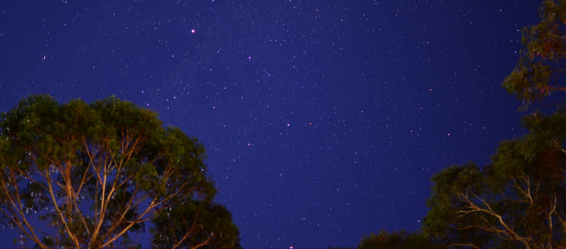 The night sky at Dhamma Aloka