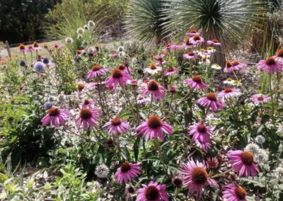 Flower bed