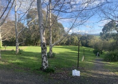 Walking area