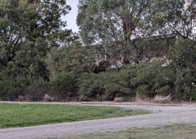 Meditation hall and grounds